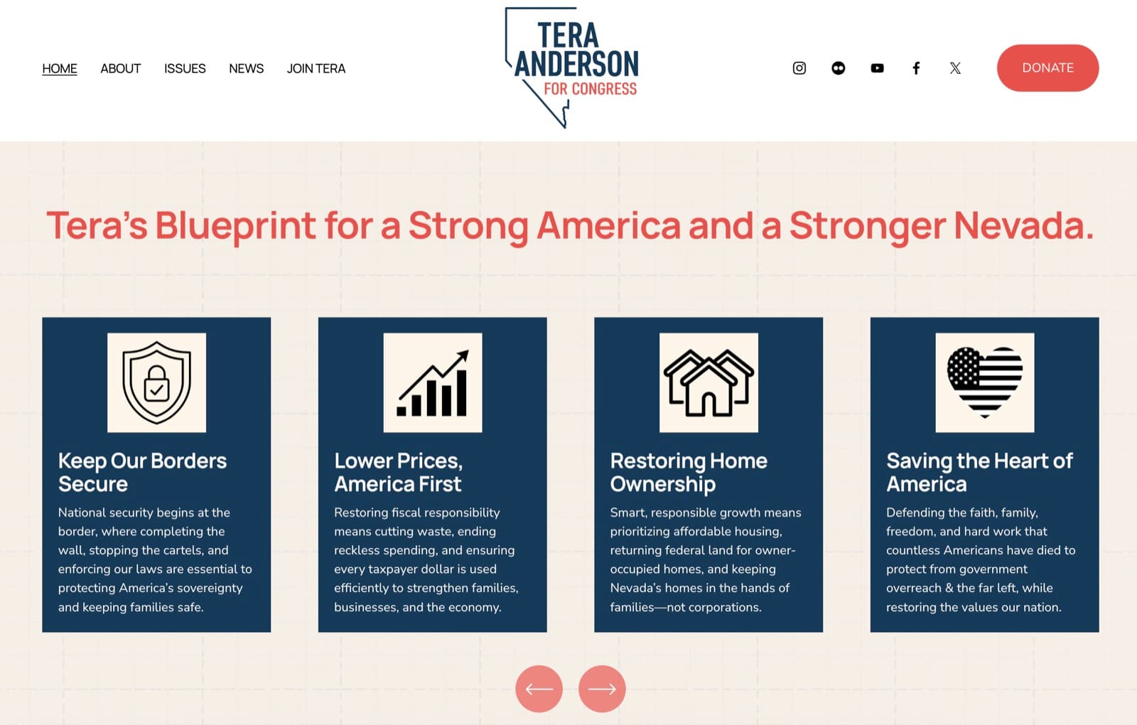 Tera Anderson for Congress – Website & Brand Identity – view 2